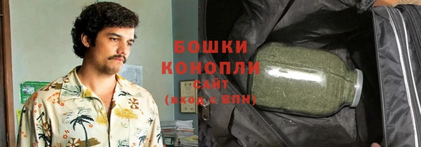 ПСИЛОЦИБИНОВЫЕ ГРИБЫ Алзамай