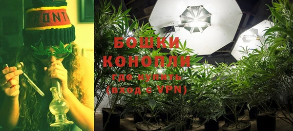 амф Новозыбков