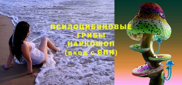 ПСИЛОЦИБИНОВЫЕ ГРИБЫ Алзамай