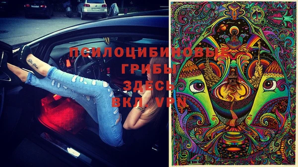 не бодяженный Алексин