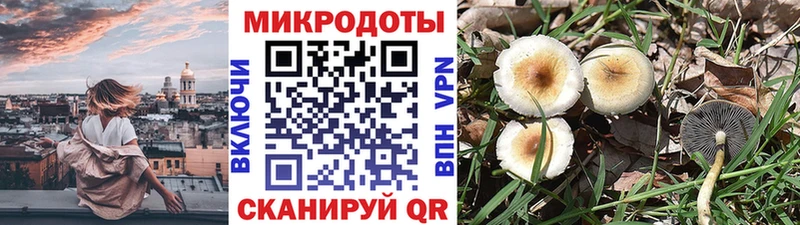 сколько стоит  mega ТОР  Псилоцибиновые грибы Cubensis  Перевоз 